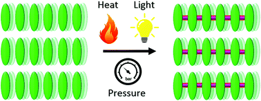 Graphical abstract: Topochemical polymerizations for the solid-state synthesis of organic polymers