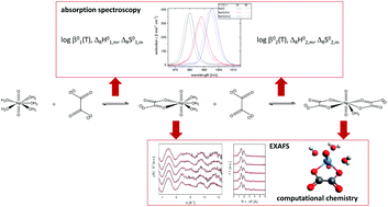 Graphical abstract: Speciation, thermodynamics and structure of Np(v) oxalate complexes in aqueous solution
