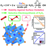 Graphical abstract: Stable and selective electrosynthesis of hydrogen peroxide and the electro-Fenton process on CoSe2 polymorph catalysts