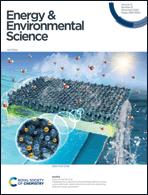 Graphical abstract: Inside front cover