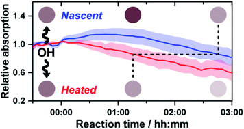 Graphical abstract: Emerging investigator series: heterogeneous OH oxidation of primary brown carbon aerosol: effects of relative humidity and volatility