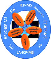 Graphical abstract: Application of ICP-MS to the development of metal-based drugs and diagnostic agents: where do we stand?