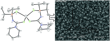 Graphical abstract: Zinc(ii) and cadmium(ii) complexes, [M(iPr2P(X)NC(Y)NC5H10-κ2-X,Y)2] (X and Y = O, S), as single source precursors for metal sulfide thin films