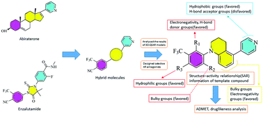 Graphical abstract: Structure–activity relationship analysis of a series of nonsteroidal analogues as androgen receptor antagonists