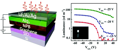 Graphical abstract: High-performance amorphous organic semiconductor-based vertical field-effect transistors and light-emitting transistors