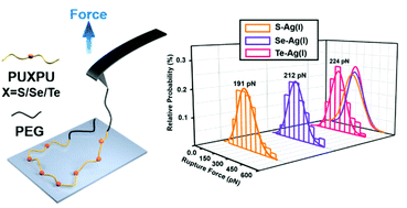 Graphical abstract: Exploring the difference of bonding strength between silver(i) and chalcogenides in block copolymer systems