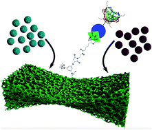 Graphical abstract: The influence of structural gradients in large pore organosilica materials on the capabilities for hosting cellular communities