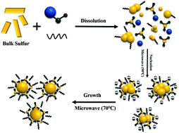 Graphical abstract: 49.25% efficient cyan emissive sulfur dots via a microwave-assisted route