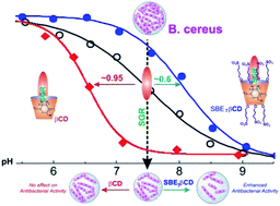 Graphical abstract: Supramolecular interaction of sanguinarine dye with sulfobutylether-β-cyclodextrin: modulation of the photophysical properties and antibacterial activity