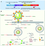 Graphical abstract: Nature as a treasure trove of potential anti-SARS-CoV drug leads: a structural/mechanistic rationale