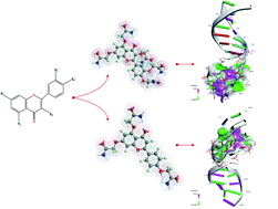 Graphical abstract: Novel quercetin and apigenin-acetamide derivatives: design, synthesis, characterization, biological evaluation and molecular docking studies