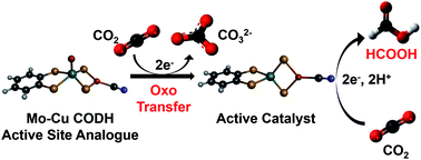 Graphical abstract: A bioinspired molybdenum–copper molecular catalyst for CO2 electroreduction