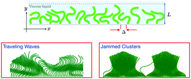 Graphical abstract: Synchronized oscillations, traveling waves, and jammed clusters induced by steric interactions in active filament arrays