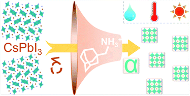 Graphical abstract: Quasi-quantum dot-induced stabilization of α-CsPbI3 perovskite for high-efficiency solar cells
