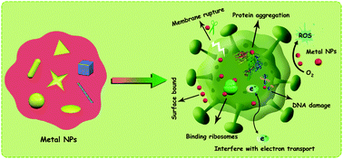 Graphical abstract: Advances and challenges in metallic nanomaterial synthesis and antibacterial applications