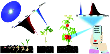 Graphical abstract: A highly efficient and thermally stable broadband Cr3+-activated double borate phosphor for near-infrared light-emitting diodes