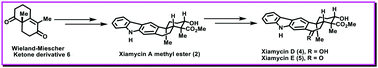 Graphical abstract: Enantioselective first total syntheses of the antiviral natural products xiamycins D and E