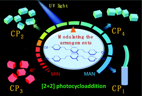 Graphical abstract: Tunable photosalient behaviours within coordination polymers via functional molecular prearrangements