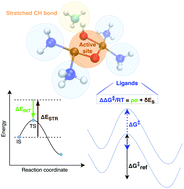 Graphical abstract: A framework for constructing linear free energy relationships to design molecular transition metal catalysts