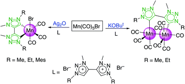 Graphical abstract: Manganese complexes with chelating and bridging di-triazolylidene ligands: synthesis and reactivity
