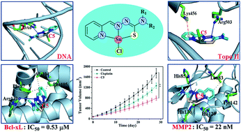 Graphical abstract: Development of a multi-target anticancer Sn(ii) pyridine-2-carboxaldehyde thiosemicarbazone complex