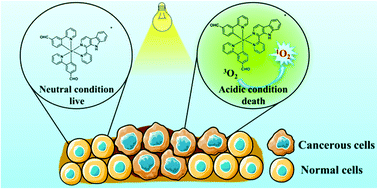 Graphical abstract: Synthesis of pH-responsive cyclometalated iridium(iii) complex and its application in the selective killing of cancerous cells