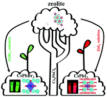 Graphical abstract: Enhancing the stability of CsPbX3 (X = Br, I) through combination with Y-zeolites for WLED application