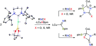 Graphical abstract: A stable ring-expanded NHC-supported copper boryl and its reactivity towards heterocumulenes