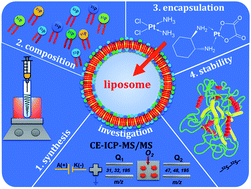 Graphical abstract: Optimization of a CE-ICP-MS/MS method for the investigation of liposome–cisplatin nanosystems and their interactions with transferrin