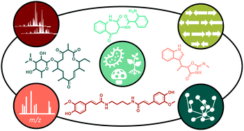 Graphical abstract: Metabolomics and genomics in natural products research: complementary tools for targeting new chemical entities