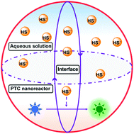 Graphical abstract: A phase-transfer catalyst-based nanoreactor for accelerated hydrogen sulfide bio-imaging