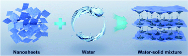 Graphical abstract: An X-state solid–liquid mixture with unusual mechanical properties formed by water and coordination polymer nanosheet nanoarchitectonics