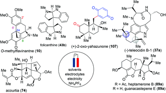 Graphical abstract: Electrocatalysis as a key strategy for the total synthesis of natural products