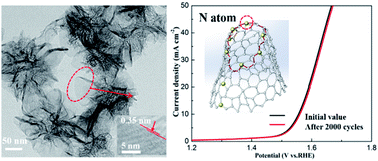 Graphical abstract: Controllable synthesis of N-doped carbon nanohorns: tip from closed to half-closed, used as efficient electrocatalysts for oxygen evolution reaction