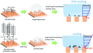 Graphical abstract: Scaling resistance by fluoro-treatments: the importance of wetting states