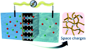 Graphical abstract: Space charge enhanced ion transport in heterogeneous polyelectrolyte/alumina nanochannel membranes for high-performance osmotic energy conversion