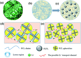 Graphical abstract: Enhanced ion transport behaviors in composite polymer electrolyte: the case of a looser chain folding structure