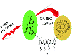 Graphical abstract: Extremely fast triplet formation by charge recombination in a Nile Red/fullerene flexible dyad