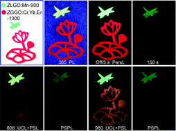 Graphical abstract: Quintuple-mode dynamic anti-counterfeiting using multi-mode persistent phosphors