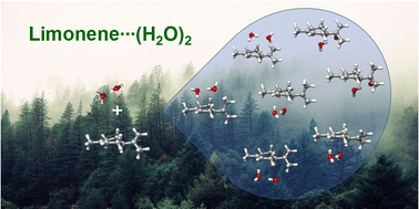 Graphical abstract: Interactions of limonene with the water dimer