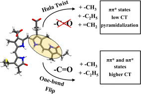 Graphical abstract: Photoisomerization of phytochrome chromophore models: an XMS-CASPT2 study