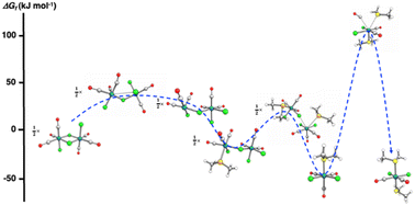 Graphical abstract: Experimental and computational investigation on the formation pathway of [RuCl2(CO)2(ERR′)2] (E = S, Se, Te; R, R′ = Me, Ph) from [RuCl2(CO)3]2 and ERR′