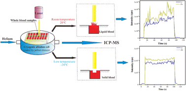 Graphical abstract: Direct multi-elemental analysis of whole blood samples by LA-ICP-MS employing a cryogenic ablation cell
