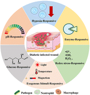 Graphical abstract: Stimuli-responsive therapeutic systems for the treatment of diabetic infected wounds