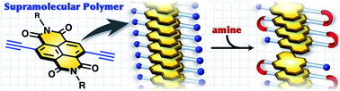 Graphical abstract: Spatiotemporal dynamics of supramolecular polymers by in situ quantitative catalyst-free hydroamination