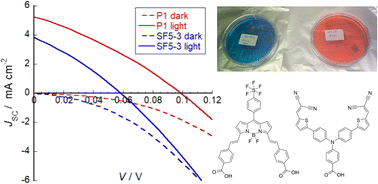 Graphical abstract: Pentafluorosulfanyl-functionalised BODIPY push–pull dyes for p-type dye-sensitized solar cells