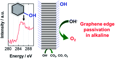 Graphical abstract: High-corrosion-resistance mechanism of graphitized platelet-type carbon nanofibers in the OER in a concentrated alkaline electrolyte