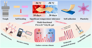 Graphical abstract: Toughened, self-healing and self-adhesive conductive gels with extraordinary temperature adaptability for dual-responsive sensors