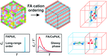 Graphical abstract: Phase transition model of FA cation ordering in FAPbX3 (X = Br, I) hybrid perovskites