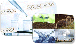 Graphical abstract: Current progress in the environmental analysis of poly- and perfluoroalkyl substances (PFAS)